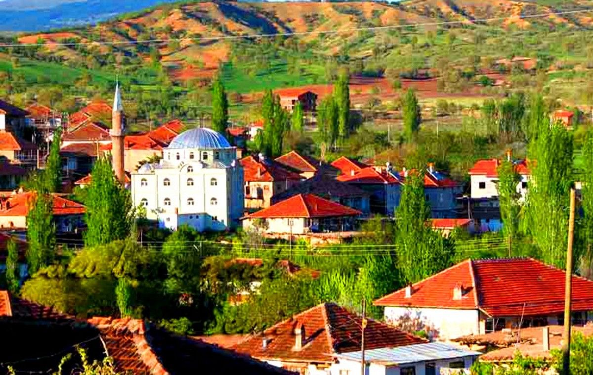Adana Naturel İmamoğlu Halı Yıkama